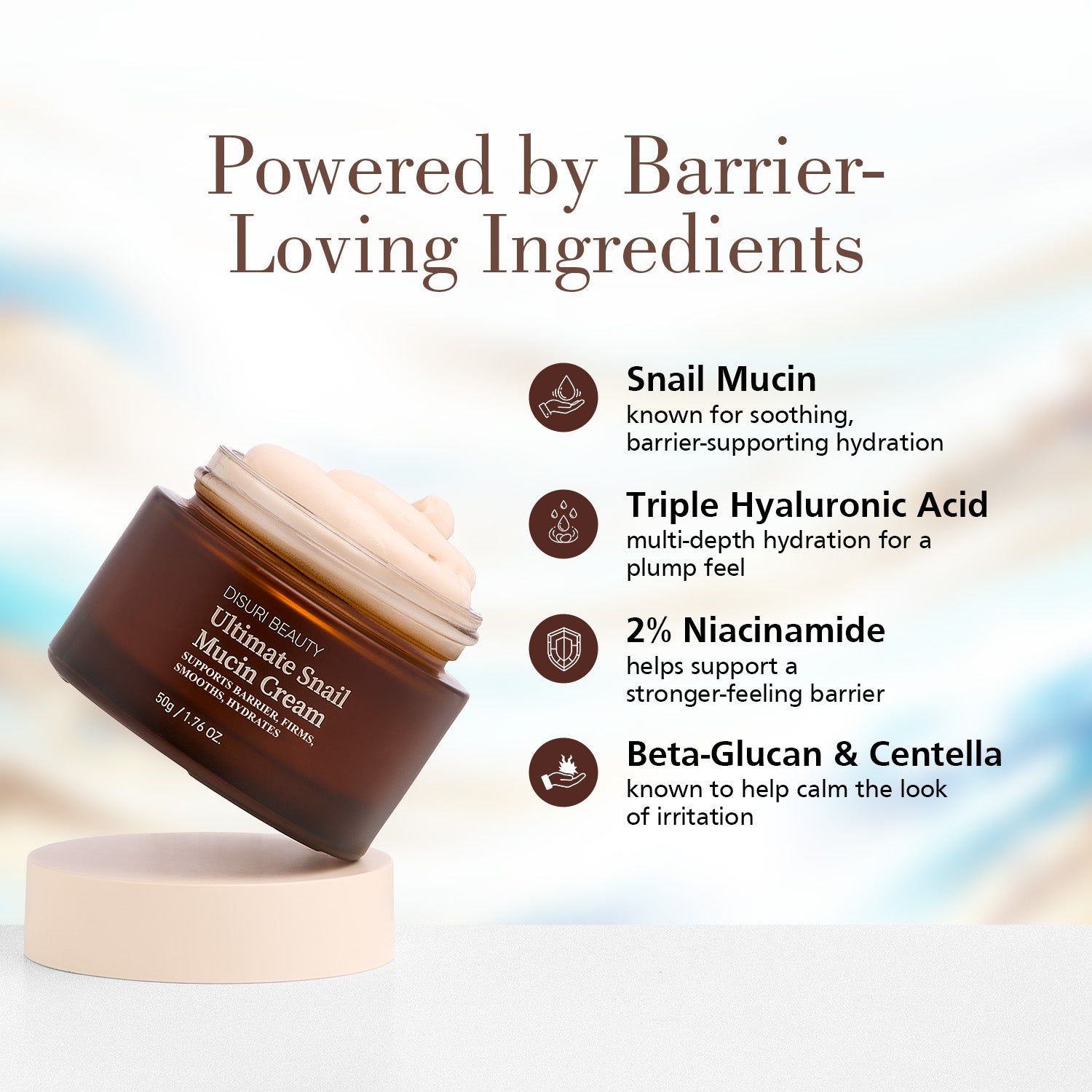 The Barrier Rescue System